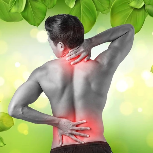 Low Back Ache healing Therapy